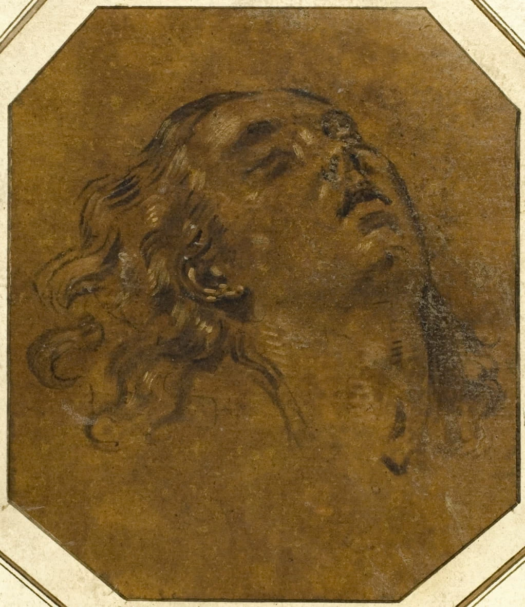 Testa femminile - Art Institute of Chicago